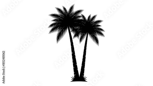 Silhouette of two tropical palm trees with lush fronds standing together.