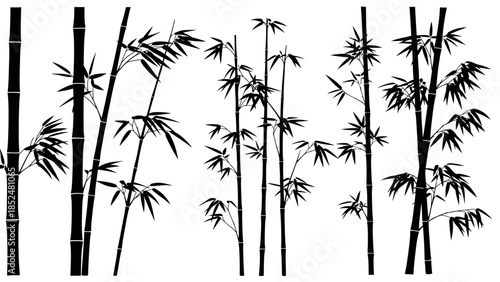 Silhouettes of various bamboo stalks and leaves in a natural setting.