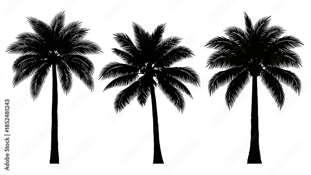 Naklejka premium Three Silhouetted Palm Trees Standing Tall Against White Background.