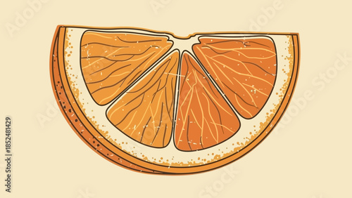 Vibrant Hand Drawn Orange Slice Illustration with Detailed Texture.
