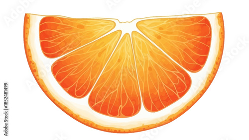 Vibrant Orange Slice Isolated on White Background.