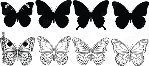 Butterfly silhouettes, line drawings, wing patterns, insect anatomy, entomology art, nature icons, comparison set, flat vector illustration