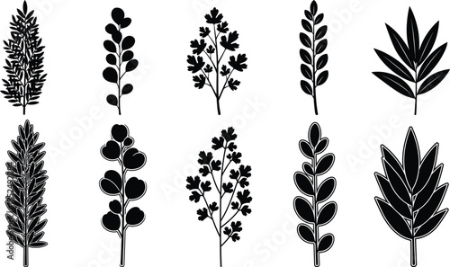 Collection of various plant species silhouettes in black and white