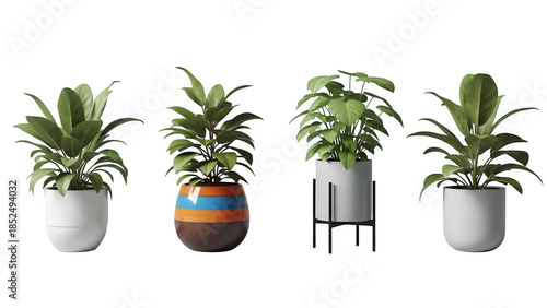 Four potted plants isolated on transparent background
