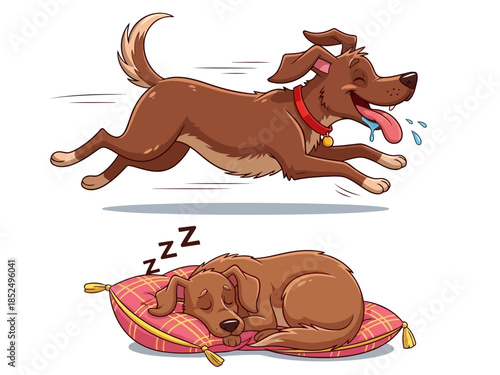 Happy dog running and sleeping on a red blanket