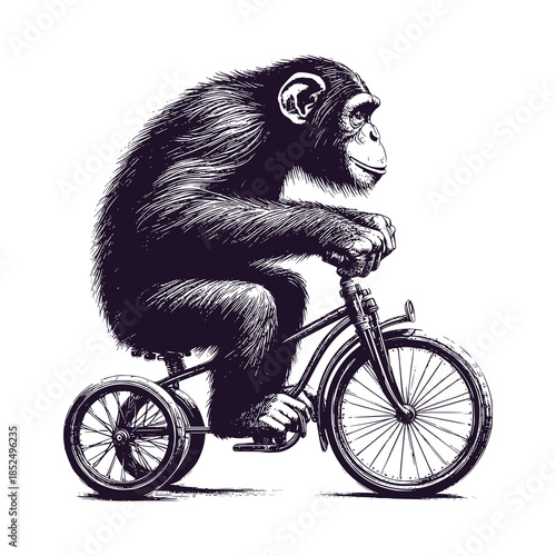 chimpanzee riding a bicycle
