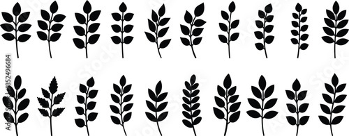 Collection of various plant silhouettes on white background