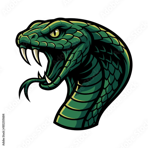 Illustration of a green snake's head with an open mouth and visible fangs against a white background.