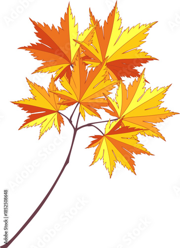 Hand-drawn red-yellow colored autumn maple leaves branch isolated on white background. Flat and line style vector illustration. 