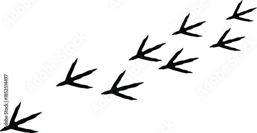 Bird footprints silhouette, flying bird tracks, wildlife migration concept, minimal nature background, animal trail pattern, black and white illustration