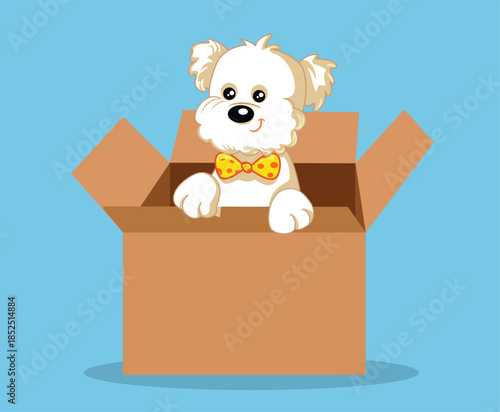 Puppy in a Box for Adoption Vector Cartoon Illustration. Little bichon dog being ready to be adopted staying in a cardbord box