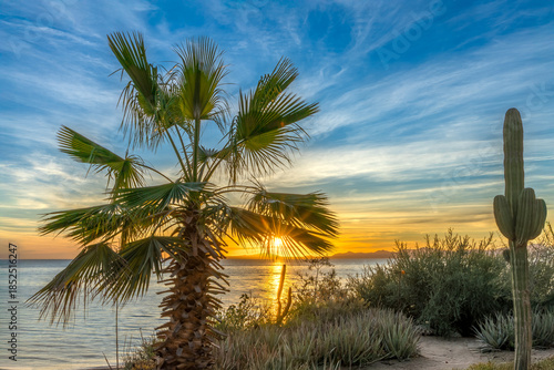 Sunrise landscape with sun beam breaking through palm leaves
