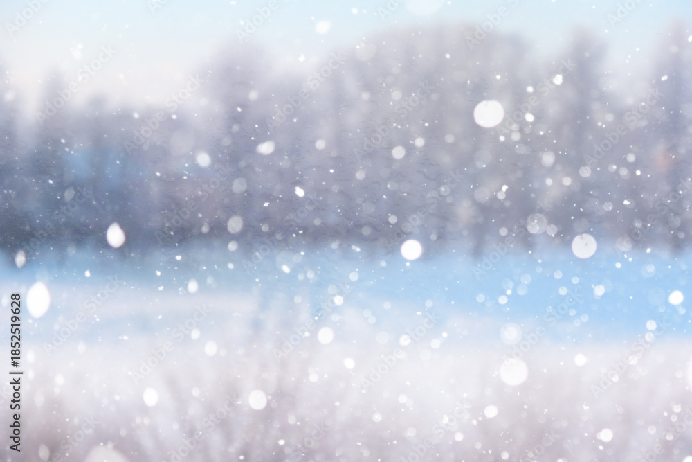 Fototapeta premium Blurred snow background. Winter landscape. Trees and plants covered with snow.