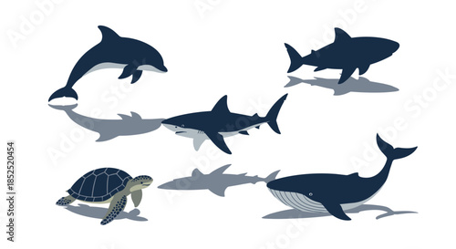 A collection of marine animals including a shark, dolphin, whale, and sea turtle, illustrated with their corresponding flat gray shadows.