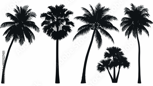 Silhouettes of various tropical palm trees on a white background.