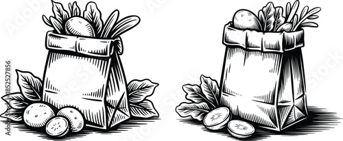 Grocery Paper Bag with Fresh Vegetables Vintage Line Art Illustration.