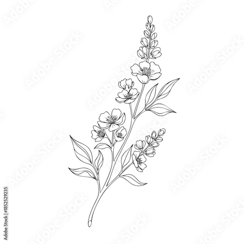 Black and white line of a flowering plant with multiple blooms and leaves line flowering plant