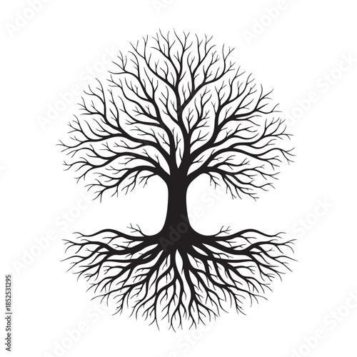 Black and white of a tree with visible roots and branches 1