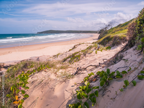 Coastal View with Vegetation Yuraygir National Park
