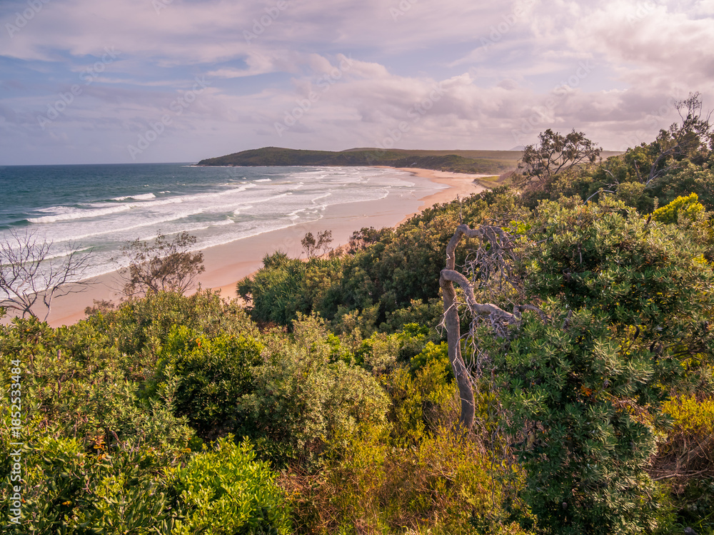 Obraz premium Coastal View with Vegetation Yuraygir National Park
