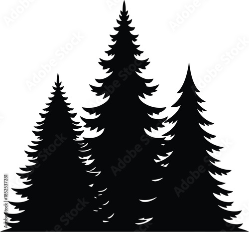 Black spruce tree silhouettes against a white backdrop on transparent background