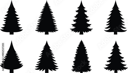 Collection of black spruce tree silhouettes on transparent background