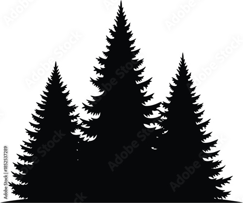 A group of pine trees in black silhouette on transparent background