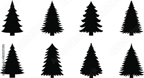 Collection of coniferous tree silhouettes on transparent background
