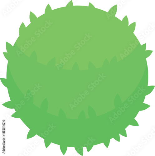 Lush green bush growing in a perfect round shape, symbolizing nature, springtime, and gardening