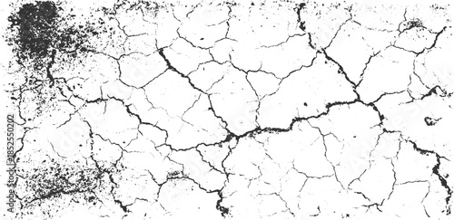 Black and white cracked earth texture with scattered debris ground