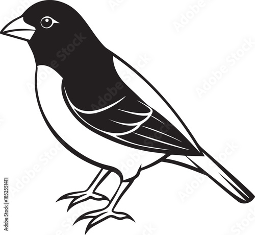 Crow Bird Line Art Illustration | Minimal Dark Wildlife Design