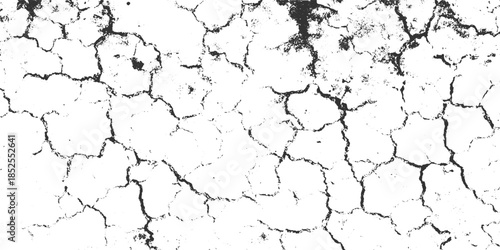 Black cracked earth texture with white background and rough surface