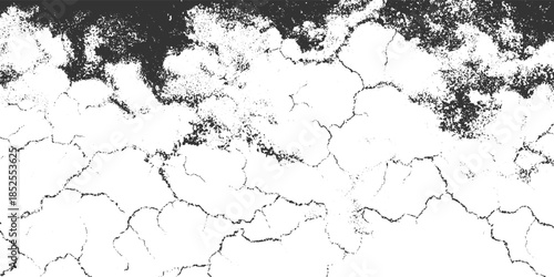Black and white cracked texture abstract background with granular detail