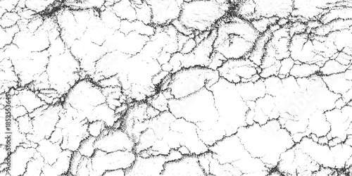 Black and white cracked earth texture with irregular lines and dots surface