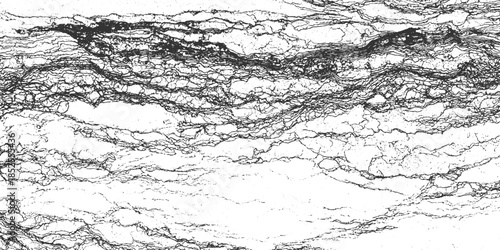 Black and white abstract texture with organic lines and speckles