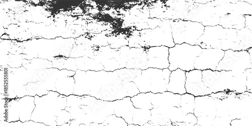 Black cracked texture on white background abstract grunge pattern