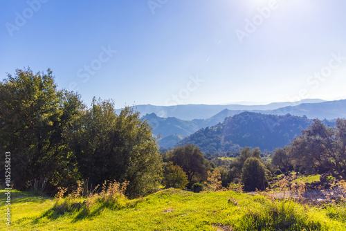 Panoramic mountain landscape with green hills, forest valley and distant city view under clear blue sky. Nature scenery, travel destination, outdoor adventure background.