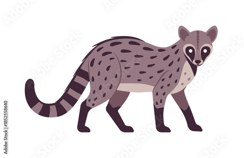 Civet cute palm animal standing pose. Agile, arboreal toddy cat, greyish colour, black spots musang funny tropical Asia, Africa creature, zoo, amazing wild life. Vector flat style cartoon illustration