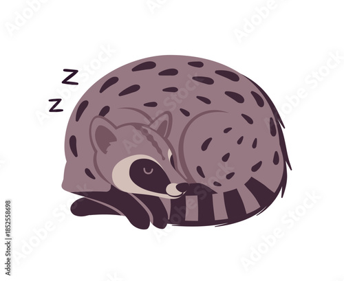 Civet cute palm animal sleeping pose. Agile, arboreal toddy cat, greyish colour, black spots musang funny tropical Asia, Africa creature, zoo, amazing wild life. Vector flat style cartoon illustration
