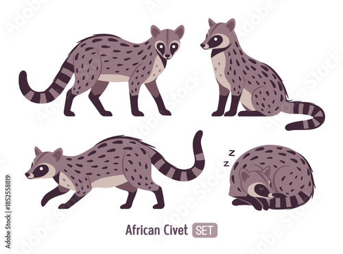 Civet cute palm animal poses set. Agile, arboreal toddy cat, greyish colour, black spots musang funny tropical Asia, Africa creature, zoo, amazing wild life. Vector flat style cartoon illustration
