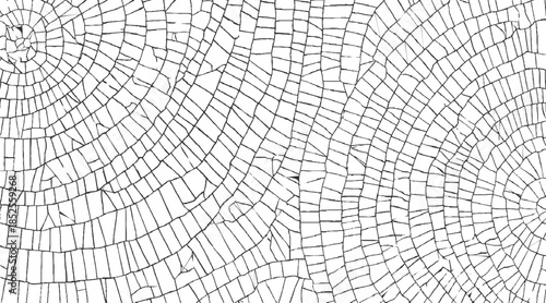 Black and white abstract pattern of intersecting lines forming geometric shapes