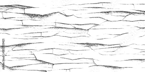 Black and white cracked texture with granular detail and irregular lines grunge surface abstract
