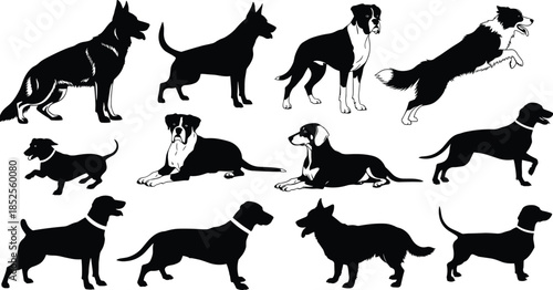 Dog breed silhouette vector set, black and white pet illustrations, sitting, standing, jumping poses, isolated animal shapes, editable design elements