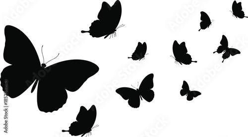 butterfly, silhouette, insect, nature, wings, black, white, icon, illustration, vector, design, symbol, flight, species, elegance, motion, diversity, entomology, garden, beauty
