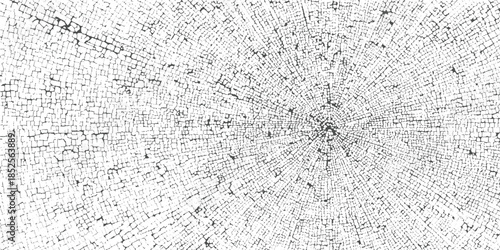 Black and white abstract pattern resembling wood grain or cracked earth texture