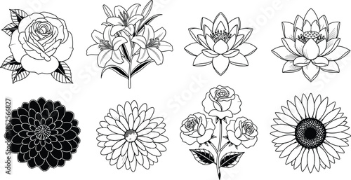 Floral illustration vector set, black and white flower icons, botanical artwork, rose, lotus, daisy, sunflower, isolated design