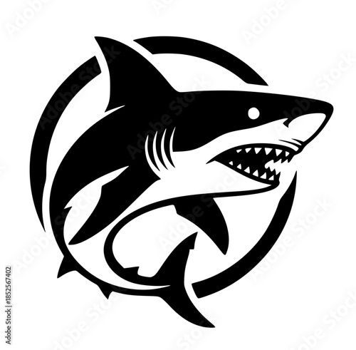 Fotografía shark vector illustration