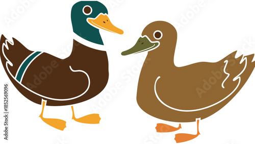 Two charming cartoon ducks with distinct colorful markings stand side by side.