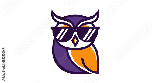 Stylized owl illustration with sunglasses on white background vector