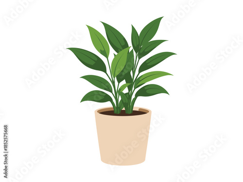 Lush green houseplant with broad pointed leaves in a beige terracotta pot with soil, cartoon style, isolated on white